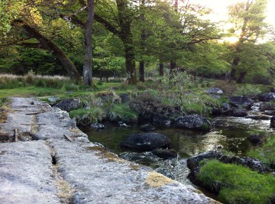 Clapper Bridge across the Cowsic River